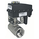 Stainless 24 Volt Ball Valves